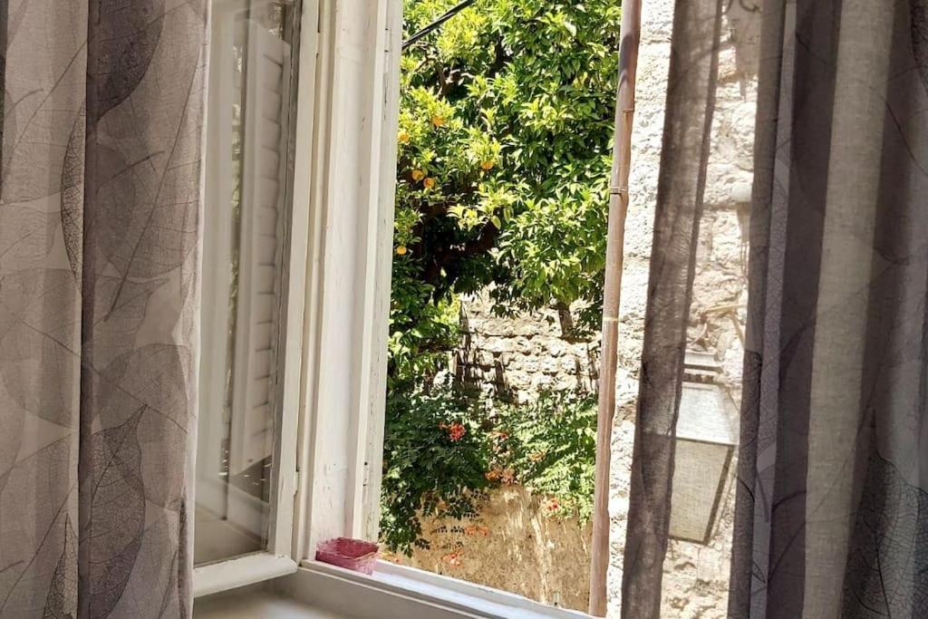 House Marija In Old Town Appartamento